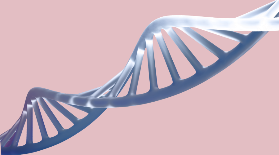 Salmon DNA Is it a scam? Here's The Truth.