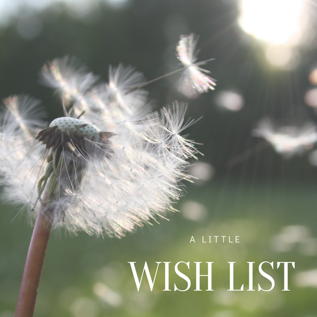 WHAT'S YOUR WISH LIST?
